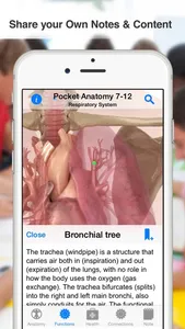 High School Anatomy screenshot 3