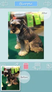 Blurpic - for your memory - screenshot 2