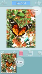 Blurpic - for your memory - screenshot 3