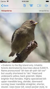 Bird ID Hawaii screenshot 5