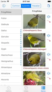 Bird ID Hawaii screenshot 7