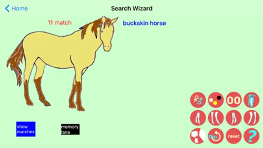 Chincoteague Pony Names screenshot 2