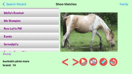 Chincoteague Pony Names screenshot 3