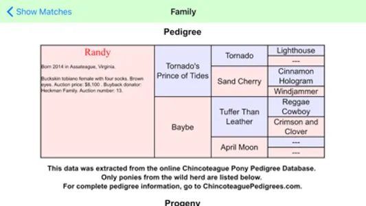 Chincoteague Pony Names screenshot 4