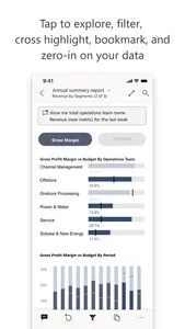 Microsoft Power BI screenshot 2