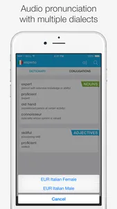 Italian – English Dictionary screenshot 3