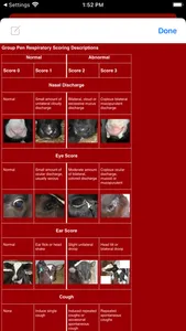 Group Pen Respiratory Scorer screenshot 6