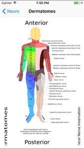 MSK Physio screenshot 3