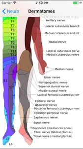 MSK Physio screenshot 4