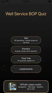 Well Service BOP Quiz screenshot 0