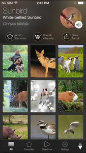 Animal Explorer: Sounds and Photos screenshot 0