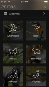 Animal Explorer: Sounds and Photos screenshot 1