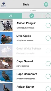 Sasol Common Birds for Beginners (Lite): Quick facts, photos and videos of 46 common southern African birds screenshot 1