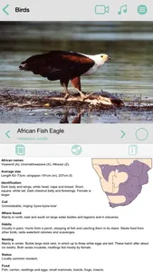 Sasol Common Birds for Beginners (Lite): Quick facts, photos and videos of 46 common southern African birds screenshot 2