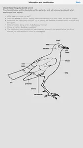 Sasol Common Birds for Beginners (Lite): Quick facts, photos and videos of 46 common southern African birds screenshot 4