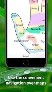 Massage Maps • Reflexology screenshot 1