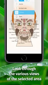 Massage Maps • Reflexology screenshot 3