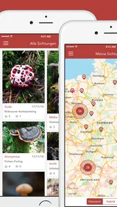 Pilze sammeln und bestimmen screenshot 4