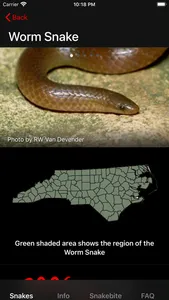 Snakes of North Carolina screenshot 1