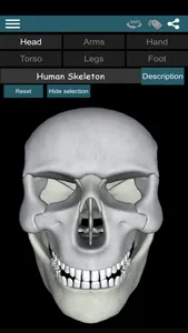 Bones 3D (Anatomy) screenshot 0