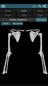 Bones 3D (Anatomy) screenshot 1