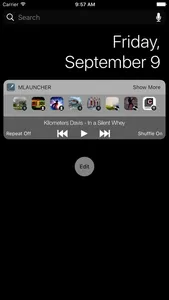 Music Launcher with Widget screenshot 1