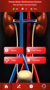 Genitourinary System Trivia screenshot 0