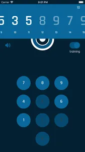 Pi Panda screenshot 2