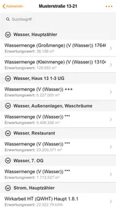 IngSoft InterWatt Mobile screenshot 5