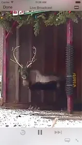 Reindeer Cam Live screenshot 0