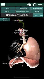 ORGANS 3D (ANATOMY) screenshot 1