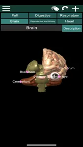 ORGANS 3D (ANATOMY) screenshot 2