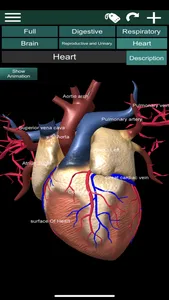 ORGANS 3D (ANATOMY) screenshot 4