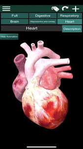 ORGANS 3D (ANATOMY) screenshot 5