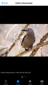 Rocky Mountain NP Field Guide screenshot 5