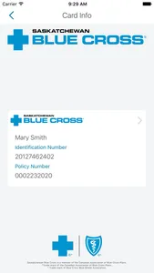 SK Blue Cross: Group screenshot 0