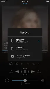 play:Sub Music Streamer screenshot 1