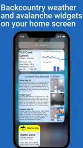 Backcountry Ski - Beta App screenshot 5