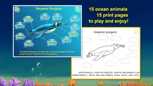 Amazing Ocean Animals- Educational Learning Apps for Kids Free screenshot 1