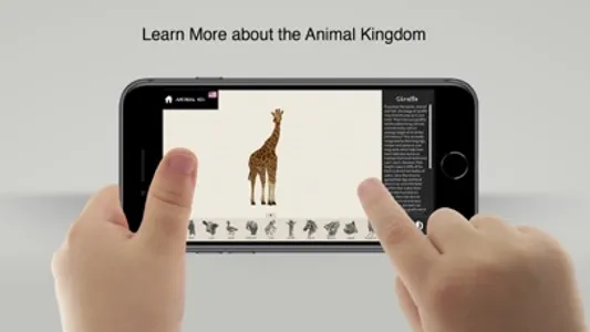 Animal 4D+ screenshot 3