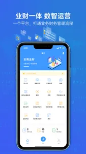 云简业财 - 助企业管理化繁为简 screenshot 1