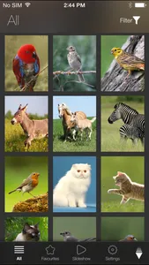 Animal Explorer Free: Sounds and Photos screenshot 3