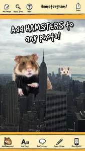 hamstergram - make people hamsters instantly and more! screenshot 2