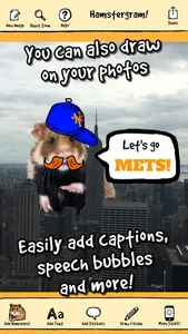 hamstergram - make people hamsters instantly and more! screenshot 3