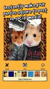 hamstergram - make people hamsters instantly and more! screenshot 4