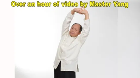 Qigong for Arthritis Relief screenshot 1