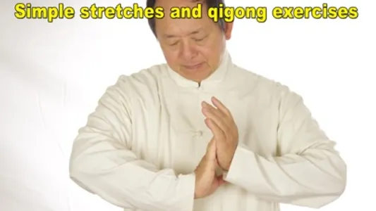 Qigong for Arthritis Relief screenshot 3