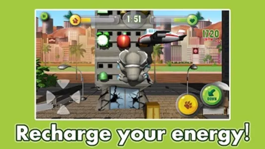 Koala Crush screenshot 4