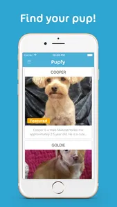 Pupfy - Find, Adopt & Rescue a Loyal Dog Companion screenshot 1