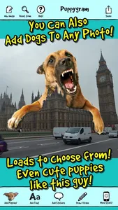 Puppygram - Turn Friends Into Puppy Dogs Instantly and more! screenshot 2